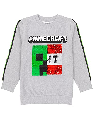 Minecraft Kids Sudadera Sudadera Escritura TNT Gray Gamer Jumper Sudadera con ca 9-10 años