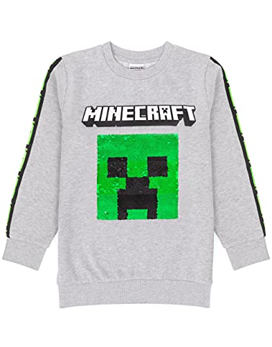 Minecraft Kids Sudadera Sudadera Escritura TNT Gray Gamer Jumper Sudadera con ca 9-10 años