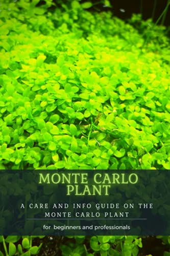 MONTE CARLO PLANT: A CARE AND INFO GUIDE ОN THЕ MONTE CARLO PLANT