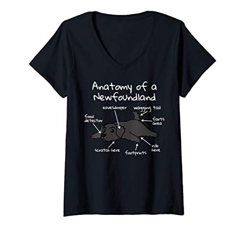 Mujer Anatomy Of A Terranova Perro Camiseta Cuello V