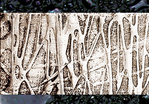 murando Cuadro en Lienzo Abstracto Moderno 200x100 cm Impresión de 5 Piezas Material Tejido no Tejido Impresión Artística Imagen Gráfica Decoracion de Pared Arte 020101-157