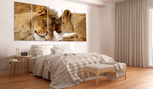 murando Cuadro en Lienzo León 100x40 cm Impresión de 5 Piezas Material Tejido no Tejido Impresión Artística Imagen Gráfica Decoracion de Pared Naturaleza Animal Paisaje g-B-0061-b-n