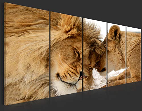 murando Cuadro en Lienzo León 100x40 cm Impresión de 5 Piezas Material Tejido no Tejido Impresión Artística Imagen Gráfica Decoracion de Pared Naturaleza Animal Paisaje g-B-0061-b-n