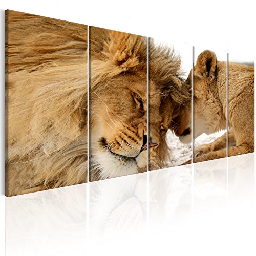 murando Cuadro en Lienzo León 100x40 cm Impresión de 5 Piezas Material Tejido no Tejido Impresión Artística Imagen Gráfica Decoracion de Pared Naturaleza Animal Paisaje g-B-0061-b-n