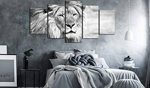 murando Cuadro en Lienzo León 200x100 cm Impresión de 5 Piezas Material Tejido no Tejido Impresión Artística Imagen Gráfica Decoracion de Pared Blanco Negro Animales g-B-0075-b-o