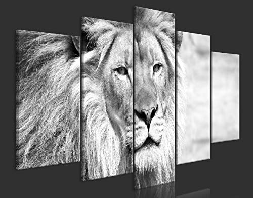 murando Cuadro en Lienzo León 200x100 cm Impresión de 5 Piezas Material Tejido no Tejido Impresión Artística Imagen Gráfica Decoracion de Pared Blanco Negro Animales g-B-0075-b-o