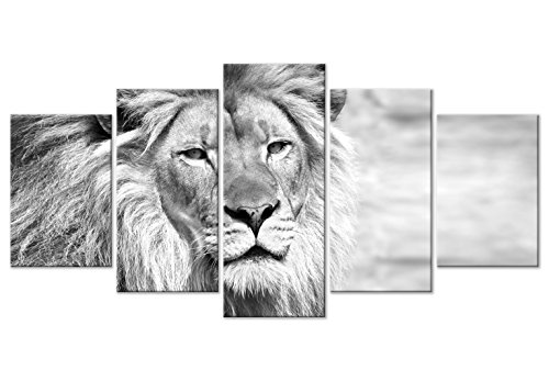 murando Cuadro en Lienzo León 200x100 cm Impresión de 5 Piezas Material Tejido no Tejido Impresión Artística Imagen Gráfica Decoracion de Pared Blanco Negro Animales g-B-0075-b-o