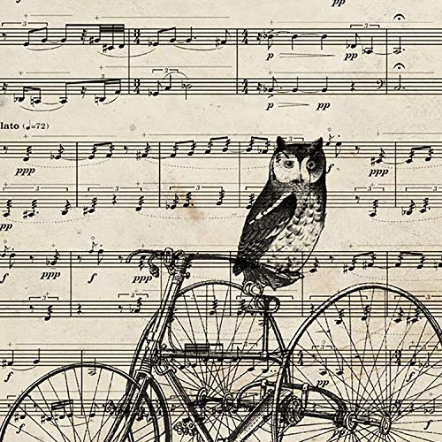 Nacnic Poster de Buho en Bicicleta sobre partitura. Láminas de imágenes con partituras. Diseño de música para el hogar. Tamaño A4 con Marco