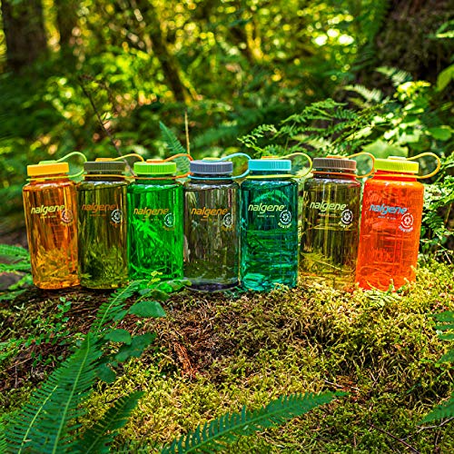 Nalgene 1413830 - Bidón con boca ancha de acampada y senderismo, color Verde(1413890), 1 L