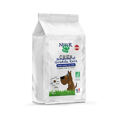 Néstor comida Bio Bio para perro mediano/grande Race 4 kg
