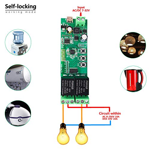 Newgoal Módulo de relé de interruptor inteligente WiFi de 2 canales, la aplicación TUYA/Smart Life se utiliza para el control remoto del hogar inteligente, el tiempo instantáneo es ajustable