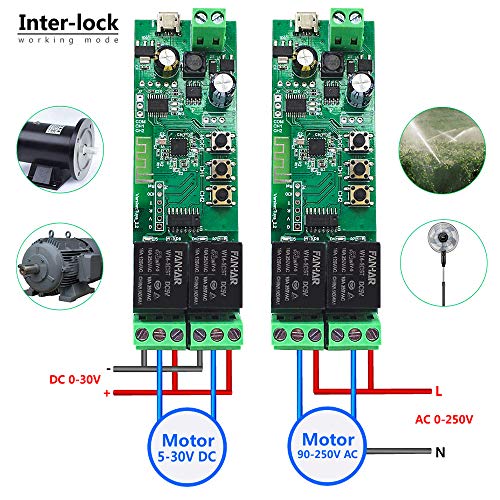 Newgoal Módulo de relé de interruptor inteligente WiFi de 2 canales, la aplicación TUYA/Smart Life se utiliza para el control remoto del hogar inteligente, el tiempo instantáneo es ajustable