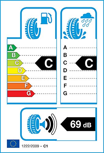 Nexen Roadian HTX RH5 M+S - 245/60R18 105H - Neumático de Verano