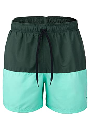 NIKE Bañador Modelo 5" Volley Short Marca