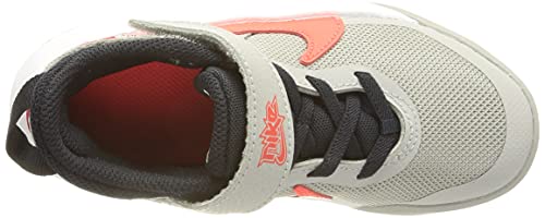 Nike Team Hustle D 10, Zapatos de Tenis Unisex niños, Lt Smoke Grey Bright Crimson, 28 EU