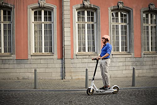 Ninebot KickScooter MAX G30LE Powered by Segway