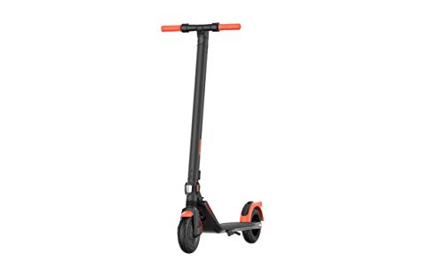 Ninebot Scooter ES1LD Powered by Segway Patinete eléctrico negro