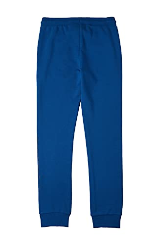 O'NEILL All Year Jogger Pants Pantalón de Vestir, Dark Water Blue Option B, 164 para Niños