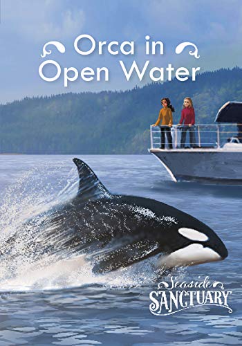 Orca in Open Water (Seaside Sanctuary)