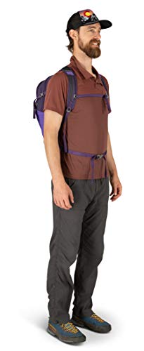 Osprey Europe Unisex Daylite Plus Dream Purple O/S