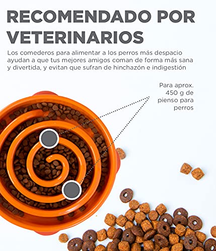 Outward Hound Fun Feeder Slo-Bowl - Comedero con obstáculos para perros - Naranja - Grande/normal