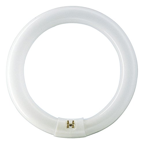 Philips Master TL-E 32 W G10Q - Lámpara circular ( 32W 4000K / 840), Blanco frío