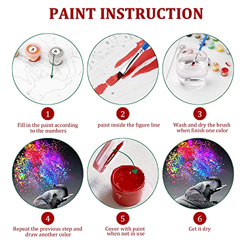 Pintar por Números Kits,Pintar por Numeros para Adultos Niños Pintura por Números con Pinceles y Pinturas Decoraciones, DIY Conjunto Completo de Pinturas para el Hogar (40X50CM, Sin Marco) (H)