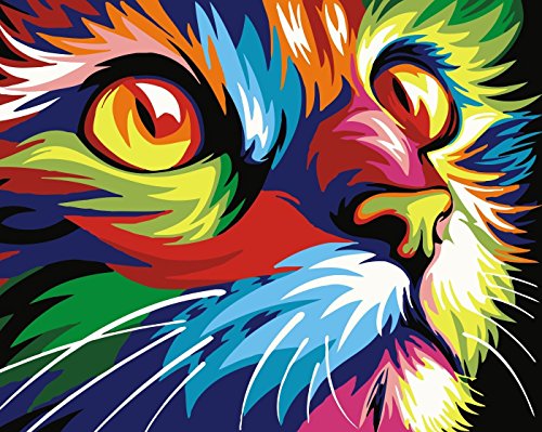 Pintura por Números Para Adultos y Niños DIY Kits de pintura al óleo de lona preimpresos con marco de madera Para la Decoración De La Casa - Gato Colorido - F 16 * 20 Pulgadas