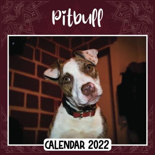 Pitbull 2022 Calendar: Pitbull mini calendar 2022 2023, Pitbull 2022 Planner with Monthly Tabs and Notes Section, Pitbull Monthly Square Calendar with 18 Exclusive Photos