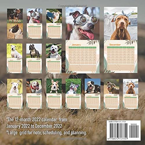 Pitbull Calendar 2022: 12 Month Mini Calendar from Jan 2022 to Dec 2022 with Gorgeous Animal Photos