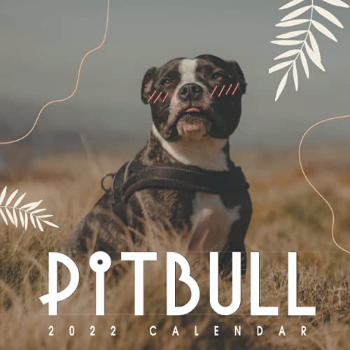 Pitbull Calendar 2022: 12 Month Mini Calendar from Jan 2022 to Dec 2022 with Gorgeous Animal Photos