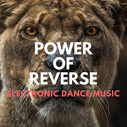 Power of Reverse (Radio Edit)