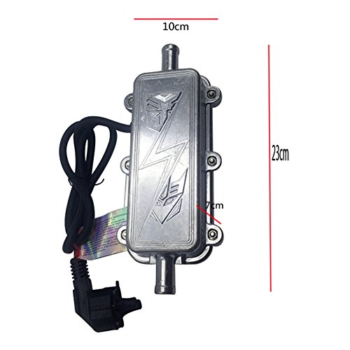 Precalentador de coche Calentador de motor Calentador de metal Para la temperatura de invierno es baja y arrancar los vehículos difíciles 230 V 3000 W (King)