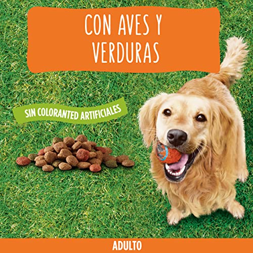 Purina Friskies Pienso para Perro Adulto Aves y Verduras 10 Kg