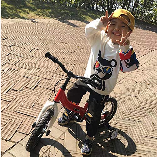 Qiani Bicicleta sin pedales 2 en 1 para niños pequeños, 2 3 4 5 6 7 años, 12 14 16 pulgadas, con ruedas, frenos, juego de pedales (azul, 16 pulgadas)
