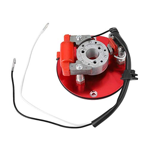 Qiilu Kit de Rotor Interno de Rendimiento Magneto, Rotor de Bobina Magneto CDI 110cc 125cc 140cc Motor de Alta Velocidad con Embrague