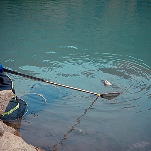 Red de aterrizaje plegable de pesca de 68 pulgadas con mango telescópico extensible, redes de liberación para pájaros, peces y camarones para adultos y niños, actividades de exploración al aire libre