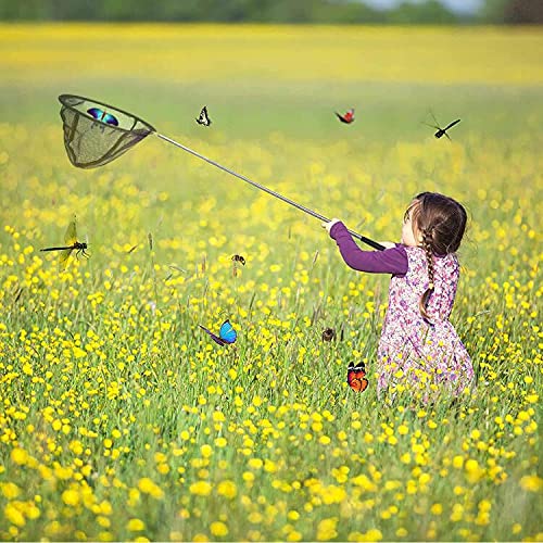 Red de aterrizaje plegable de pesca de 68 pulgadas con mango telescópico extensible, redes de liberación para pájaros, peces y camarones para adultos y niños, actividades de exploración al aire libre