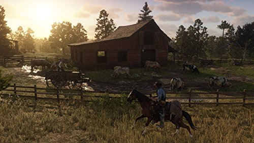 Red Dead Redemption 2 PS4 Game