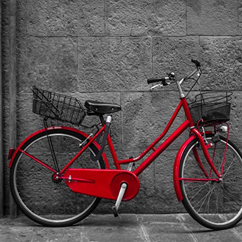 Relaxdays Candado de Cadena Stable, Antirrobo para Bicicletas y Motos, Dos Llaves, Seguro, Estable, Exterior, Negro, Adultos Unisex, 100 cm Lang