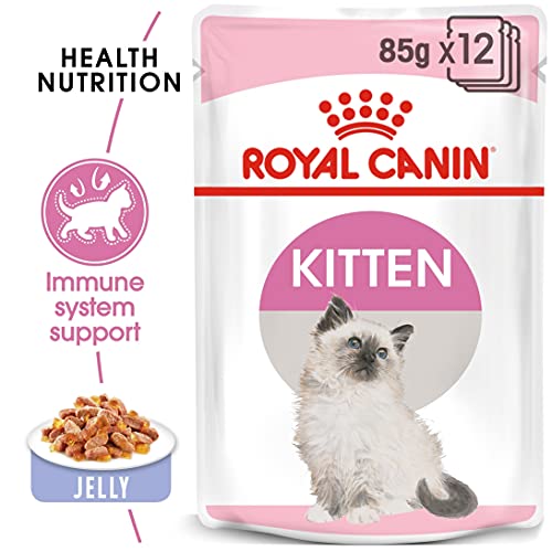 ROYAL CANIN Kitten Instinctive, Comida para Gatos - Paquete de 12 x 85 gr - Total: 1020 gr