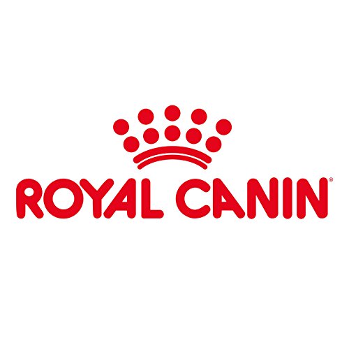 Royal Canin - Mother Babycat, 10KG