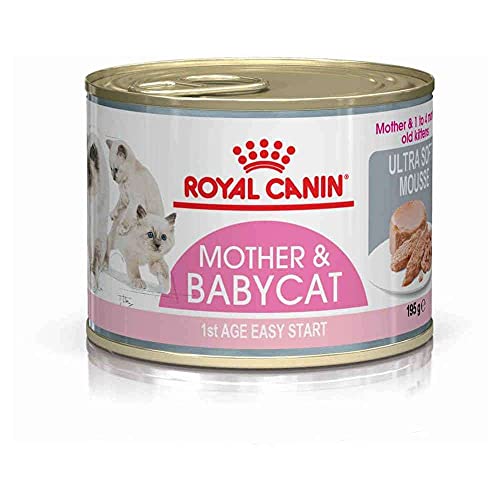Royal Canin - Royal Canin Feline Babycat Instinctive Mousse - 1374 - 12 x 195 Grs. (Lata) Pack Ahorro
