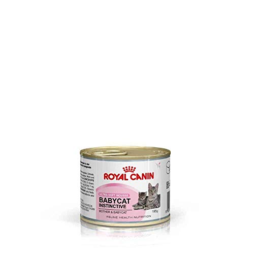 Royal Canin - Royal Canin Feline Babycat Instinctive Mousse - 1374 - 12 x 195 Grs. (Lata) Pack Ahorro