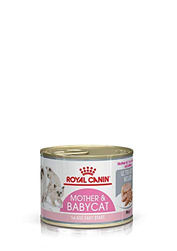 Royal Canin - Royal Canin Feline Babycat Instinctive Mousse - 1374 - 12 x 195 Grs. (Lata) Pack Ahorro