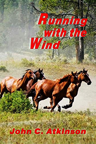 Running with the Wind: Chapter books for young minds (Tom and Friends) (English Edition)