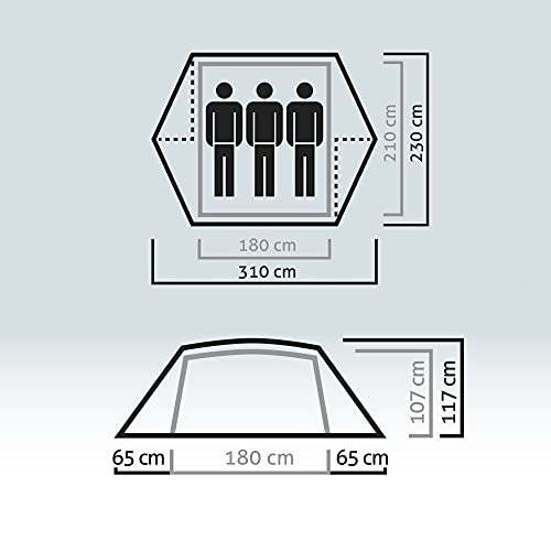 Salewa Denali III Tienda Domo de Doble Pared para 3 Personas, Cactus/Gris, Talla Única