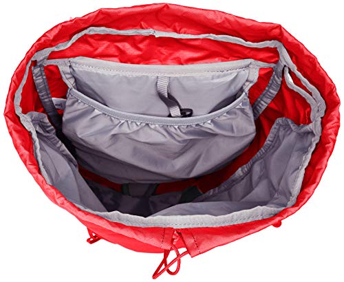 SALOMON out Day 20+4 Mochila, Adultos Unisex, Goji Berry/Alloy (Multicolor), m/l