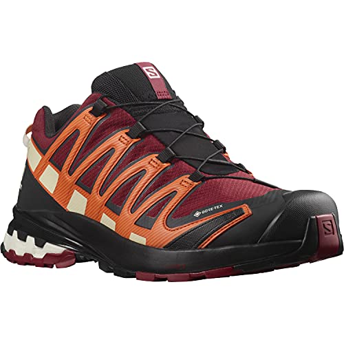 Salomon XA Pro 3D V8 Gore-Tex (impermeable) Hombre Zapatos de trail running, Rojo (Biking Red/Red Orange/Black), 40 2/3 EU