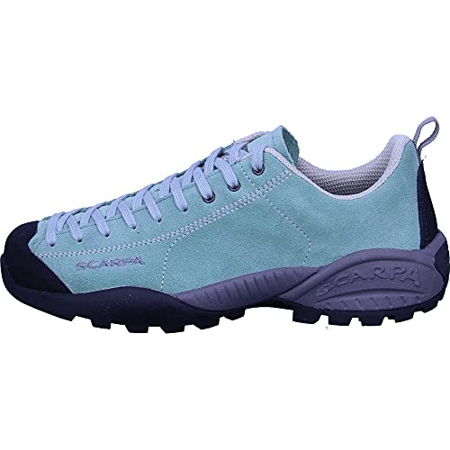 Scarpa Mojito GTX, Zapatillas de Trail Running, Dusty Green-Green Gore-Tex BM Spider Trek, 40 EU